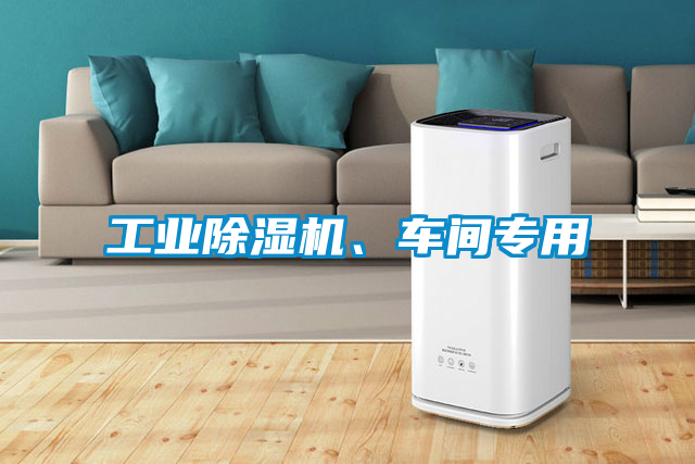 工業(yè)除濕機、車間專用