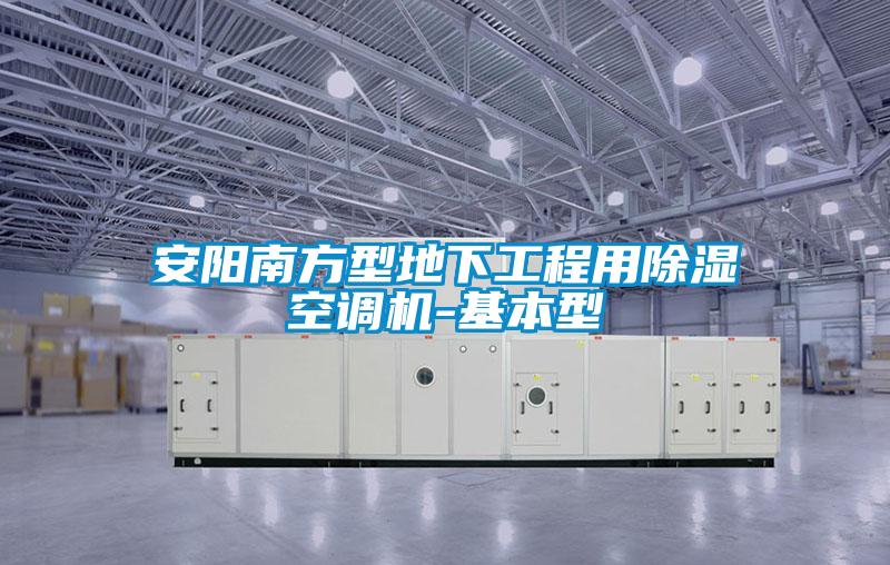 安陽南方型地下工程用除濕空調(diào)機(jī)-基本型