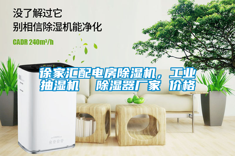 徐家匯配電房除濕機，工業(yè)抽濕機  除濕器廠家 價格