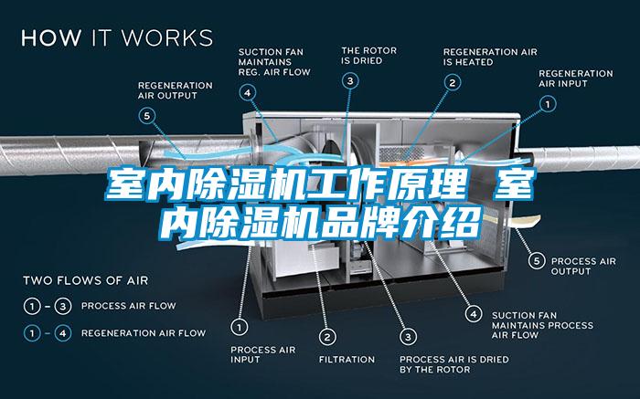 室內(nèi)除濕機工作原理 室內(nèi)除濕機品牌介紹