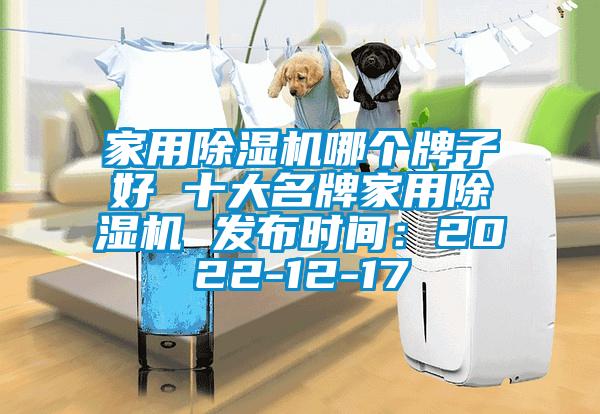 家用除濕機哪個牌子好 十大名牌家用除濕機 發(fā)布時間：2022-12-17