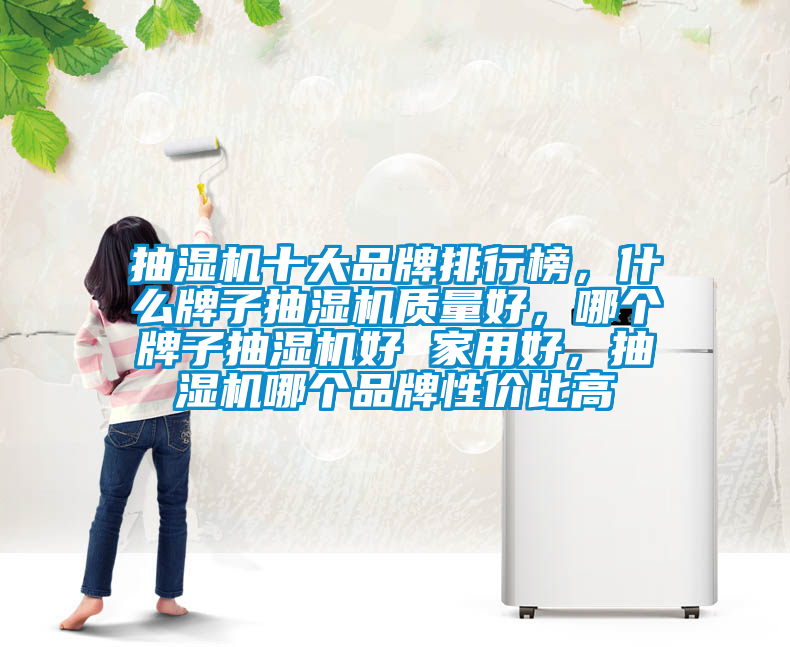 抽濕機十大品牌排行榜，什么牌子抽濕機質量好，哪個牌子抽濕機好 家用好，抽濕機哪個品牌性價比高