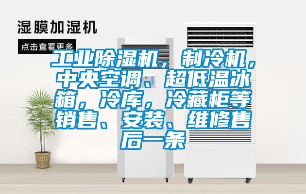 工業(yè)除濕機(jī)，制冷機(jī)，中央空調(diào)、超低溫冰箱，冷庫，冷藏柜等銷售、安裝、維修售后一條