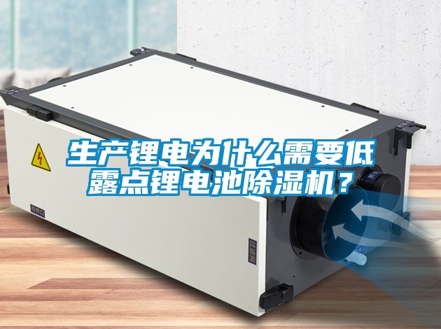 生產(chǎn)鋰電為什么需要低露點鋰電池除濕機？