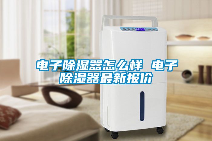 電子除濕器怎么樣 電子除濕器最新報價