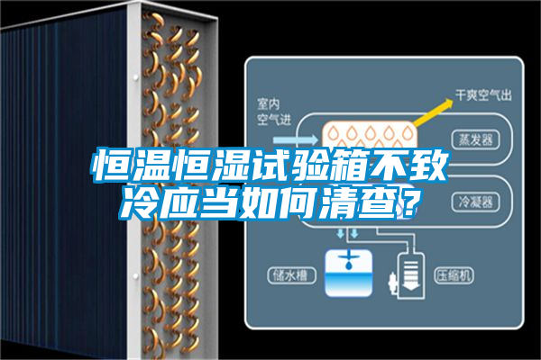 恒溫恒濕試驗(yàn)箱不致冷應(yīng)當(dāng)如何清查？