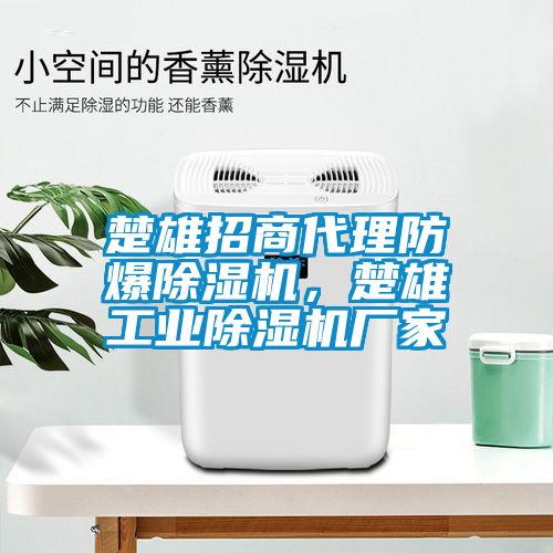 楚雄招商代理防爆除濕機(jī)，楚雄工業(yè)除濕機(jī)廠家