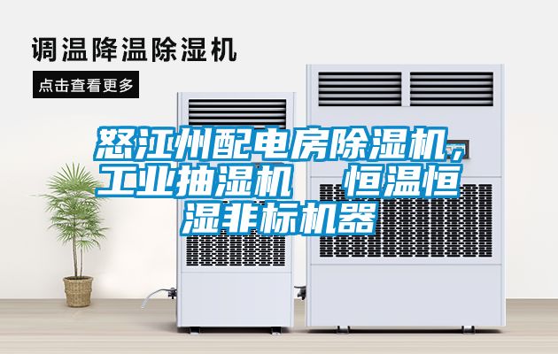 怒江州配電房除濕機(jī)，工業(yè)抽濕機(jī)  恒溫恒濕非標(biāo)機(jī)器