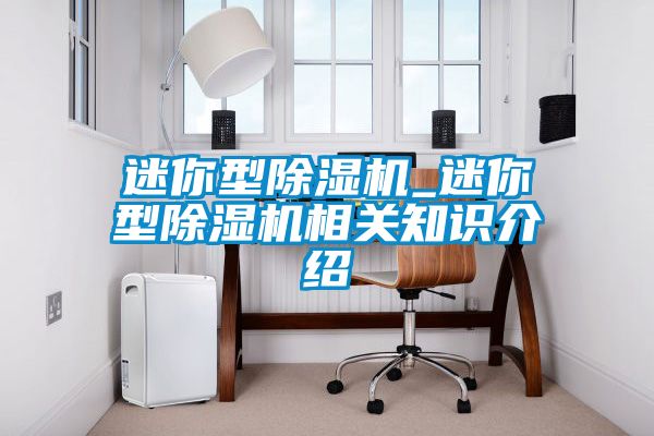 迷你型除濕機_迷你型除濕機相關(guān)知識介紹