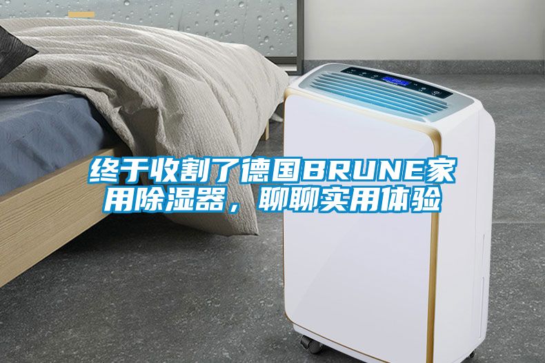 終于收割了德國BRUNE家用除濕器，聊聊實用體驗