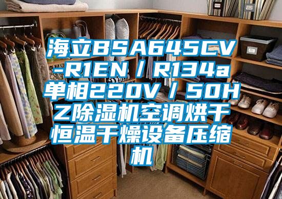 海立BSA645CV-R1EN／R134a單相220V／50HZ除濕機(jī)空調(diào)烘干恒溫干燥設(shè)備壓縮機(jī)