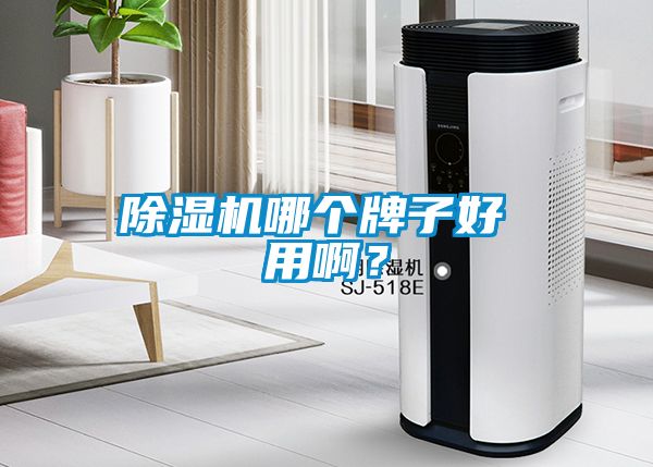 除濕機哪個牌子好 用??？