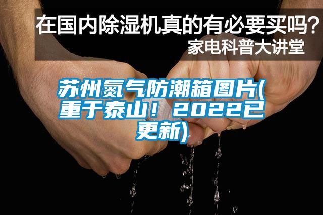 蘇州氮?dú)夥莱毕鋱D片(重于泰山！2022已更新)