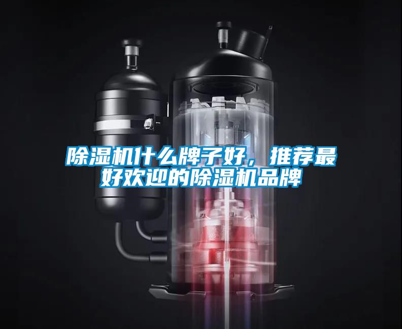 除濕機什么牌子好，推薦最好歡迎的除濕機品牌