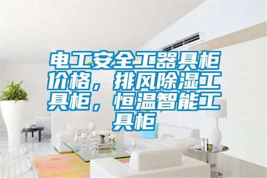 電工安全工器具柜價格，排風除濕工具柜，恒溫智能工具柜