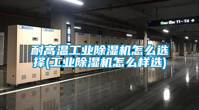 耐高溫工業(yè)除濕機怎么選擇(工業(yè)除濕機怎么樣選)