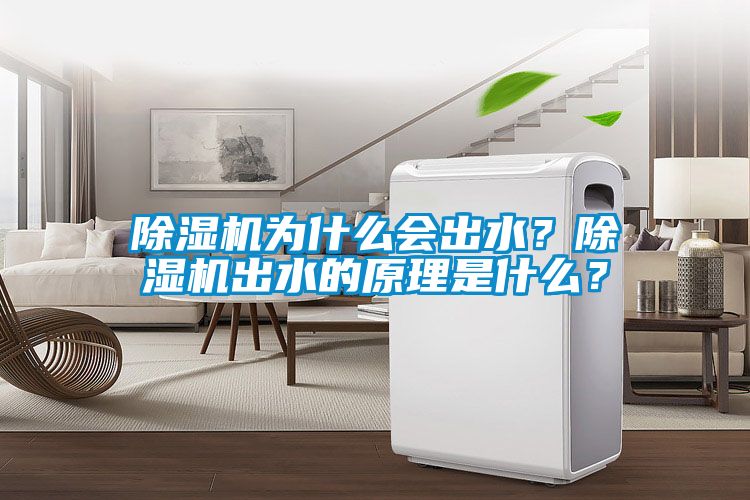 除濕機為什么會出水？除濕機出水的原理是什么？