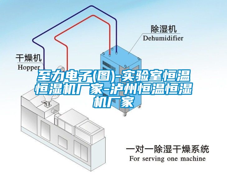 至力電子(圖)-實(shí)驗(yàn)室恒溫恒濕機(jī)廠家-瀘州恒溫恒濕機(jī)廠家