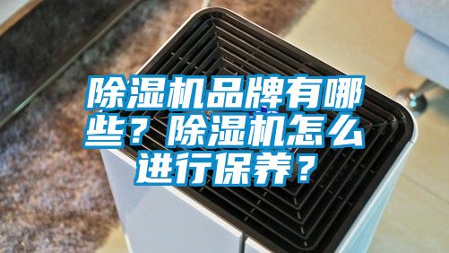 除濕機品牌有哪些？除濕機怎么進行保養(yǎng)？