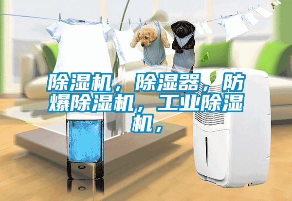 除濕機，除濕器，防爆除濕機，工業(yè)除濕機，