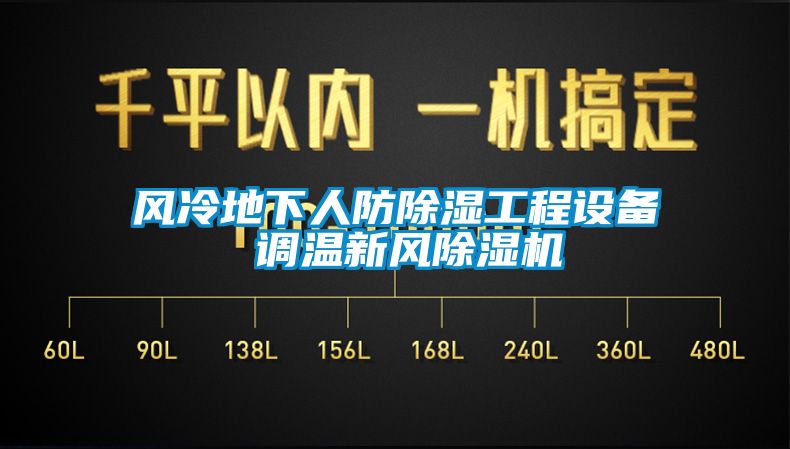 風冷地下人防除濕工程設(shè)備 調(diào)溫新風除濕機