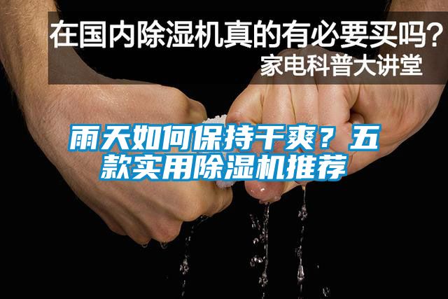 雨天如何保持干爽？五款實用除濕機推薦