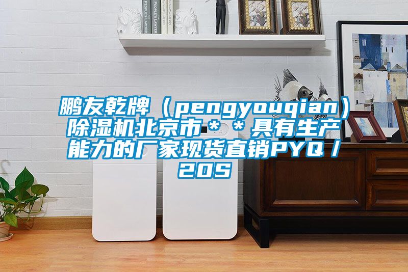 鵬友乾牌（pengyouqian）除濕機北京市＊＊具有生產(chǎn)能力的廠家現(xiàn)貨直銷PYQ／20S