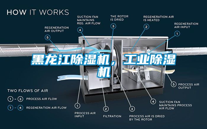 黑龍江除濕機，工業(yè)除濕機