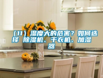 企業(yè)新聞（11）濕度大的危害？如何選擇 除濕機(jī)、干衣機(jī)、加濕器