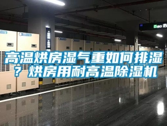 行業(yè)新聞高溫烘房濕氣重如何排濕？烘房用耐高溫除濕機