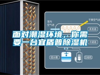 行業(yè)新聞面對潮濕環(huán)境，你需要一臺(tái)宜盾普除濕機(jī)