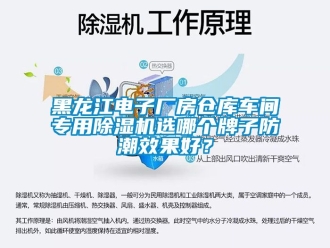 企業(yè)新聞黑龍江電子廠房倉庫車間專用除濕機選哪個牌子防潮效果好？