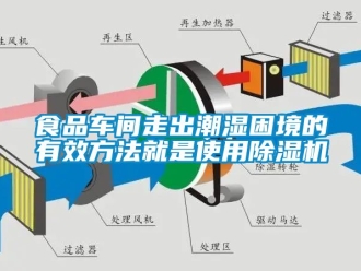 企業(yè)新聞食品車間走出潮濕困境的有效方法就是使用除濕機(jī)