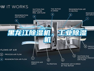 常見問題黑龍江除濕機，工業(yè)除濕機