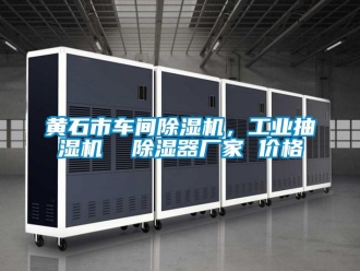 企業(yè)新聞黃石市車間除濕機，工業(yè)抽濕機  除濕器廠家 價格