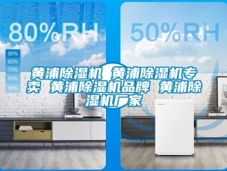 企業(yè)新聞黃浦除濕機 黃浦除濕機專賣 黃浦除濕機品牌 黃浦除濕機廠家