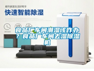 企業(yè)新聞食品廠車間潮濕該咋辦？食品廠車間去濕除濕機(jī)